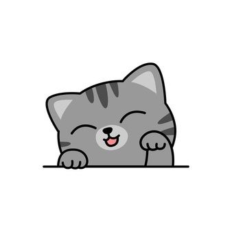 Gatos